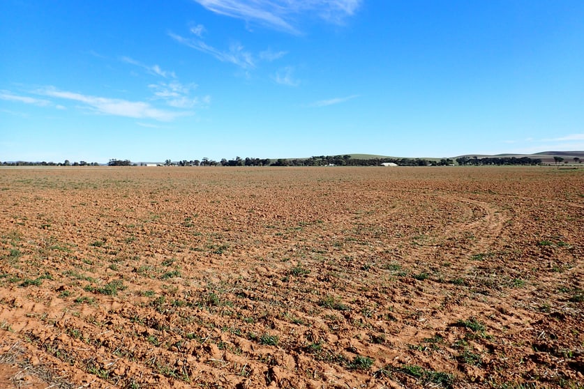 Click to view all images Sec 645, 646, 647, 6 Penshurst & Quinn Road Booborowie SA 5417 - Image 3