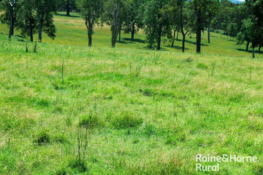 Click to view all images Lot 11 Summerland Way Casino NSW 2470 - Image 3