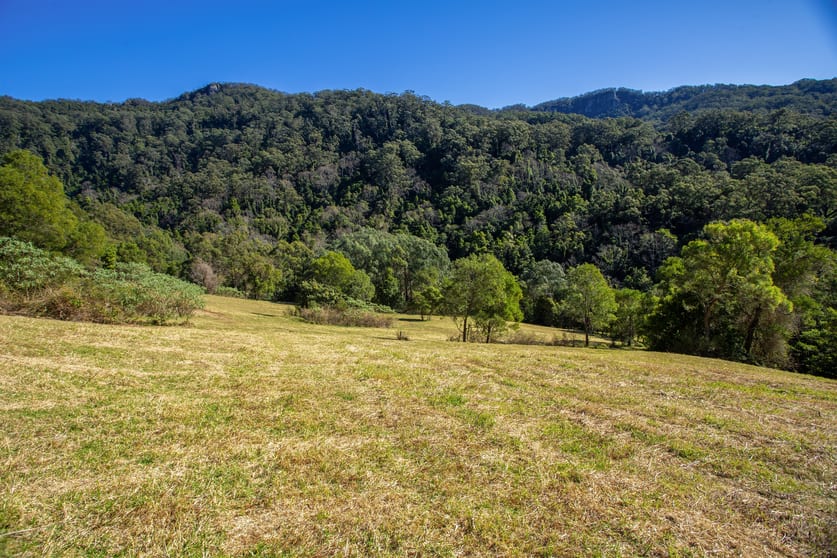 Lots 41 & 2 Daltons Road Jamberoo NSW 2533 - Image 2