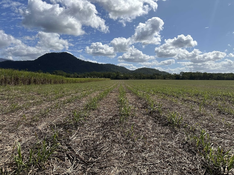 El Arish QLD 4855 - Image 3