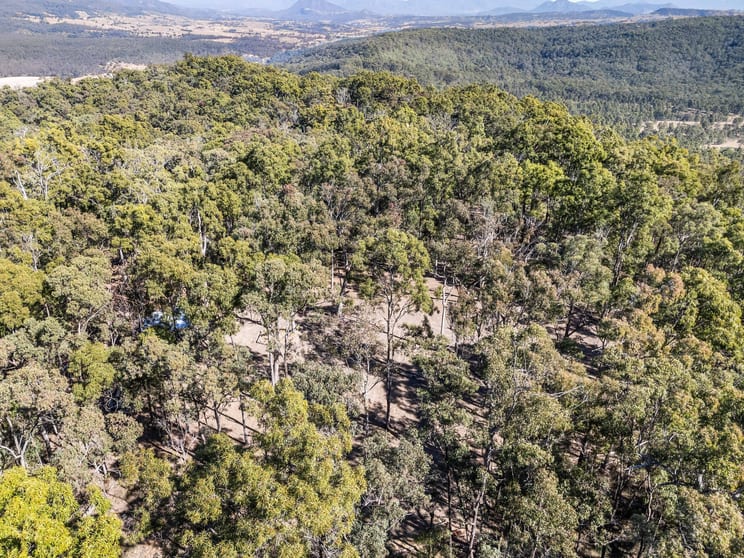Click to view all images Lot 107 Tamrookum Creek Road Tamrookum Creek QLD 4285 - Image 3