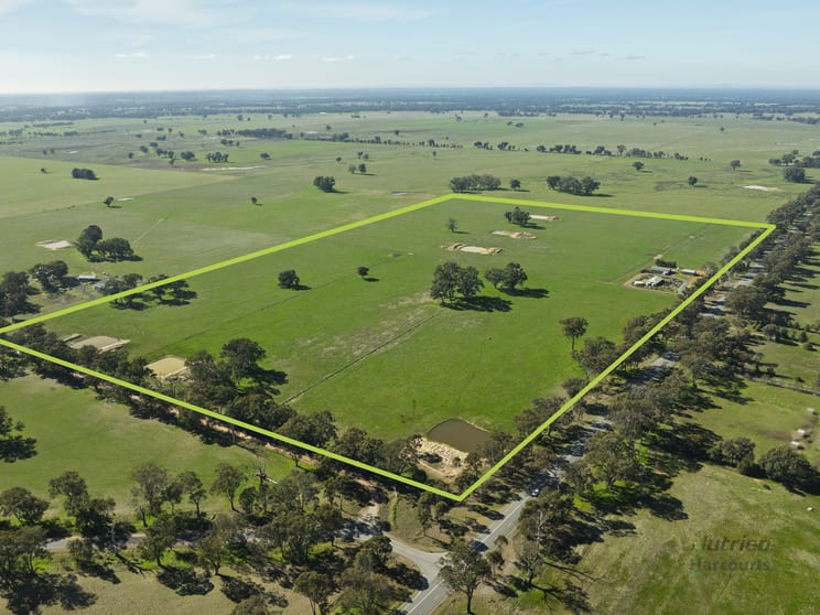 Click to view all images 3875 Murchison-Violet Town Road Violet Town VIC 3669 - Image 3