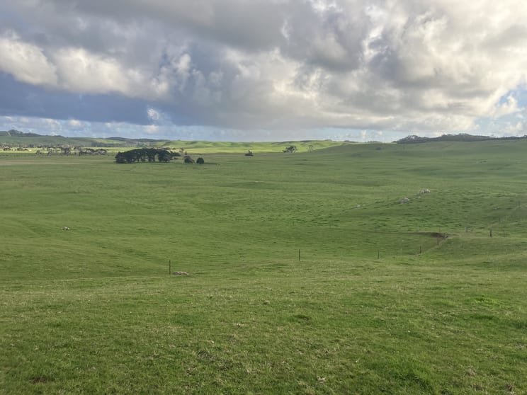 Click to view all images . Wards Road Redpa TAS 7330 - Image 3