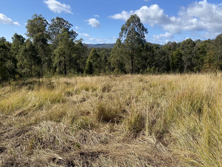 Click to view all images 85 Misty Ridge Road Bellangry NSW 2446 - Image 3