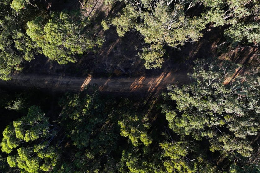 524 Hanging Rock Road Sutton Forest NSW 2577 - Image 2