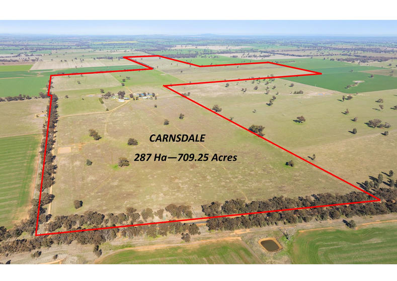 1624 Osborne Yerong Creek Road Yerong Creek NSW 2642 - Image 2