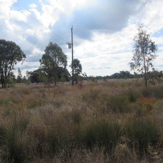 Click to view all images 275 Kofoeds Road Tara QLD 4421 - Image 2