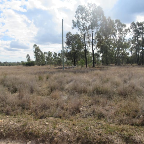 Click to view all images 275 Kofoeds Road Tara QLD 4421 - Image 1