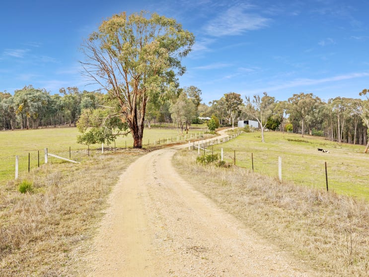 Click to view all images 350 Lake Buffalo-Whitfield Road Whitfield VIC 3733 - Image 2