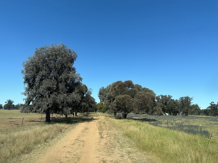 Lot 133 Troths Lane Quandialla NSW 2721 - Image 2