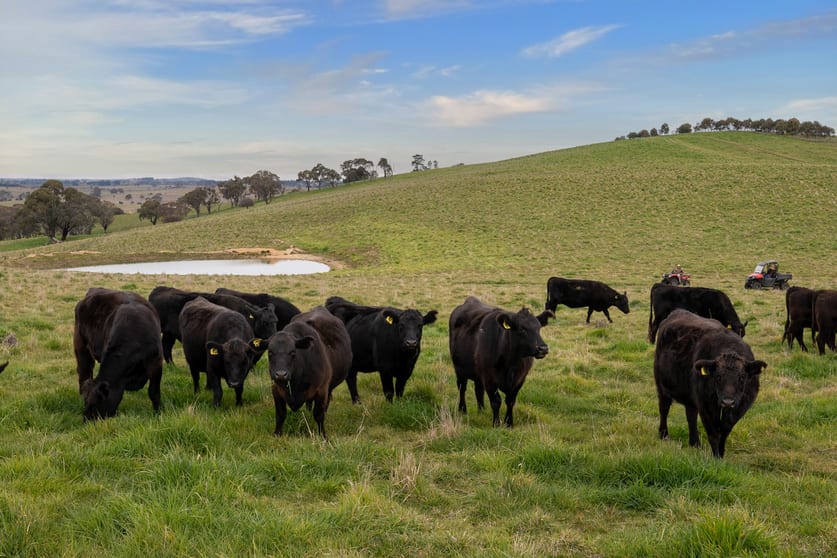 Click to view all images 43 Byng Road Guyong NSW 2798 - Image 1
