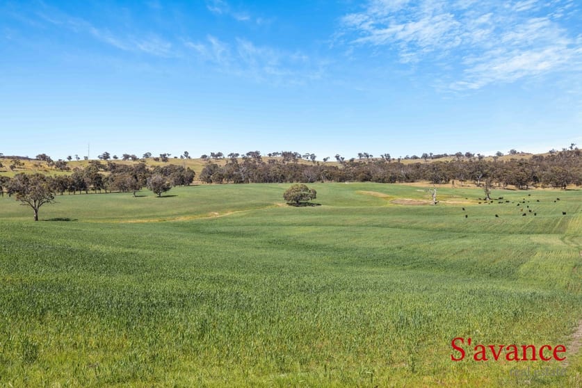 Lot 50 Fendlers Road Tungkillo SA 5236 - Image 1