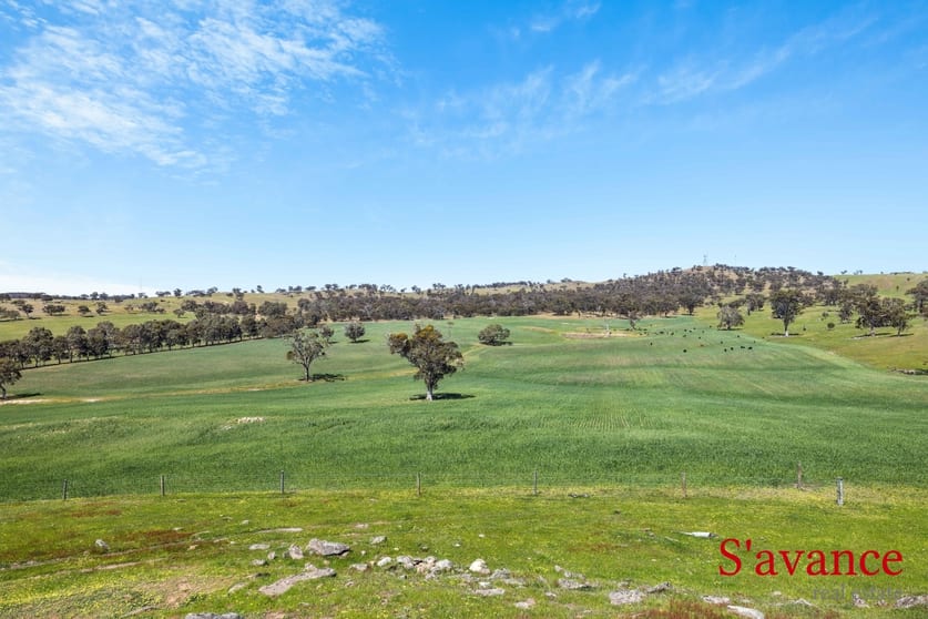 Lot 50 Fendlers Road Tungkillo SA 5236 - Image 2