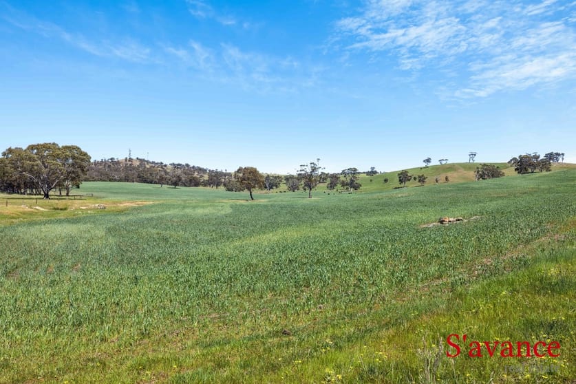 Lot 50 Fendlers Road Tungkillo SA 5236 - Image 3