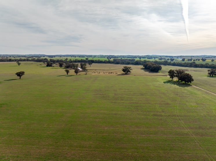 Click to view all images 29 Jaegers Lane The Rock NSW 2655 - Image 2