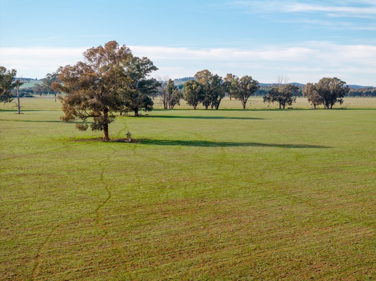 Click to view all images 29 Jaegers Lane The Rock NSW 2655 - Image 3