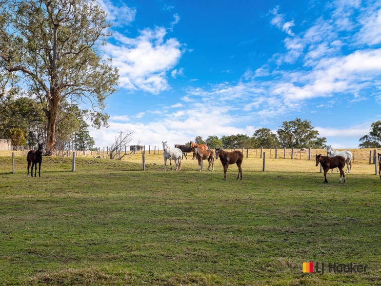 Click to view all images 470 Larrys Mountain Road Mogendoura NSW 2537 - Image 3