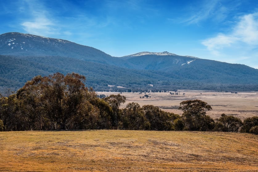 42 Outpost Road Yaouk NSW 2629 - Image 3