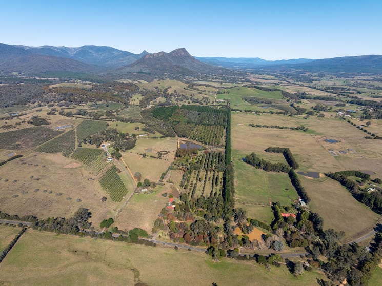 Click to view all images 252 Taggerty - Thornton Road Taggerty VIC 3714 - Image 1