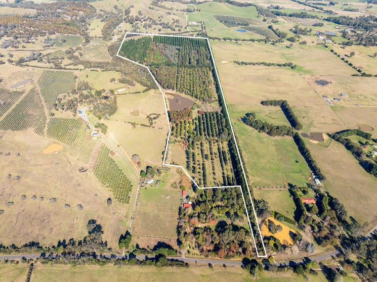 Click to view all images 252 Taggerty - Thornton Road Taggerty VIC 3714 - Image 2