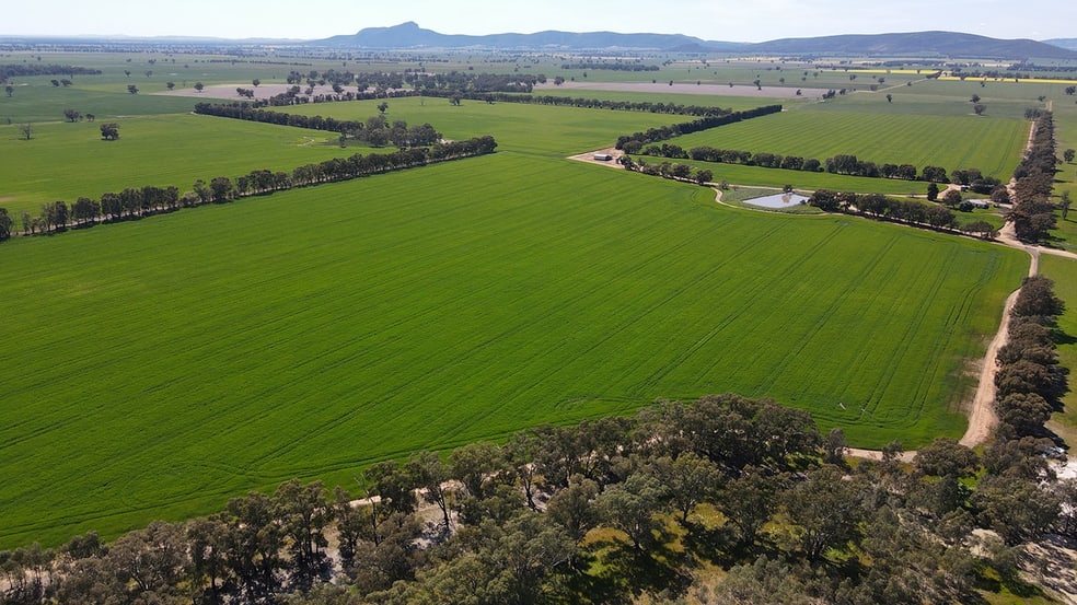 788 Mittagong Yerong Creek Road Yerong Creek NSW 2642 - Image 1