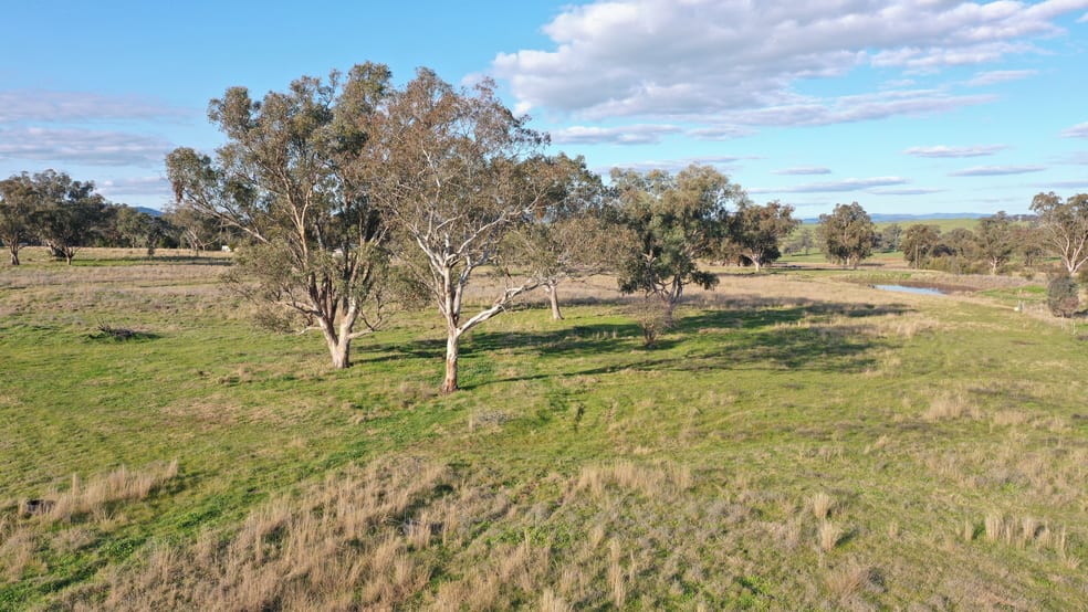 Click to view all images Lot 5 Warral-Bithramere Road Tamworth NSW 2340 - Image 2
