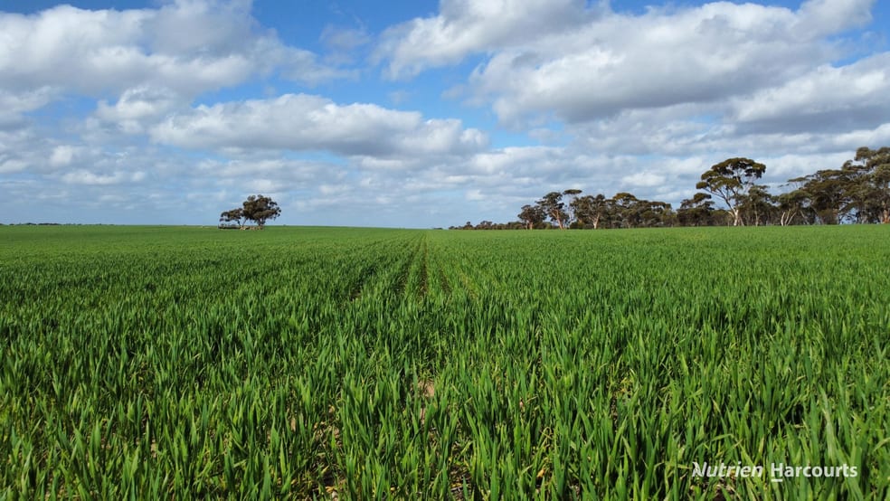 Click to view all images "Browns" Chandler-Merredin Road Burracoppin WA 6421 - Image 2