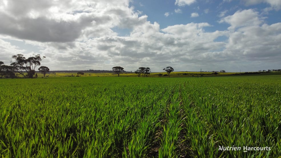 Click to view all images "Browns" Chandler-Merredin Road Burracoppin WA 6421 - Image 3