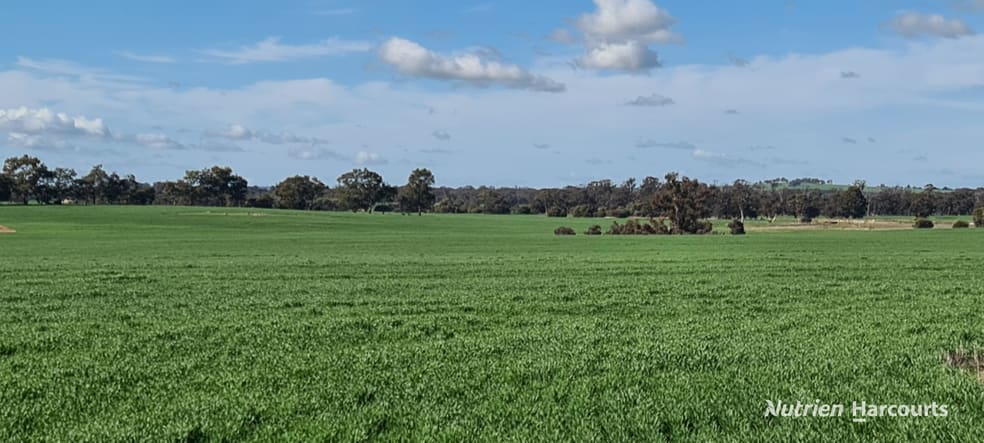 Click to view all images "Neymerup" Neymerup Road Kojonup WA 6395 - Image 2