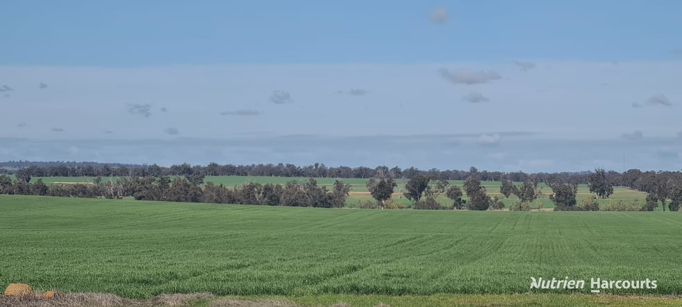 Click to view all images "Neymerup" Neymerup Road Kojonup WA 6395 - Image 3