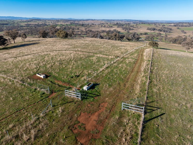 Click to view all images 'Killeaton' 183 Sullivans Road Molong NSW 2866 - Image 3
