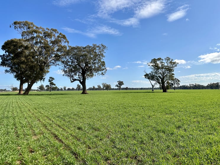 2791 Sturt Highway Wagga Wagga NSW 2650 - Image 1