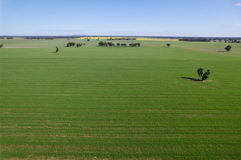 2791 Sturt Highway Wagga Wagga NSW 2650 - Image 2