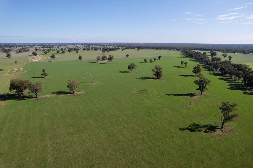 2791 Sturt Highway Wagga Wagga NSW 2650 - Image 3