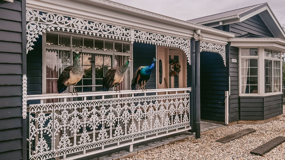 Click to view all images 193 Blunder Road Glastonbury QLD 4570 - Image 3
