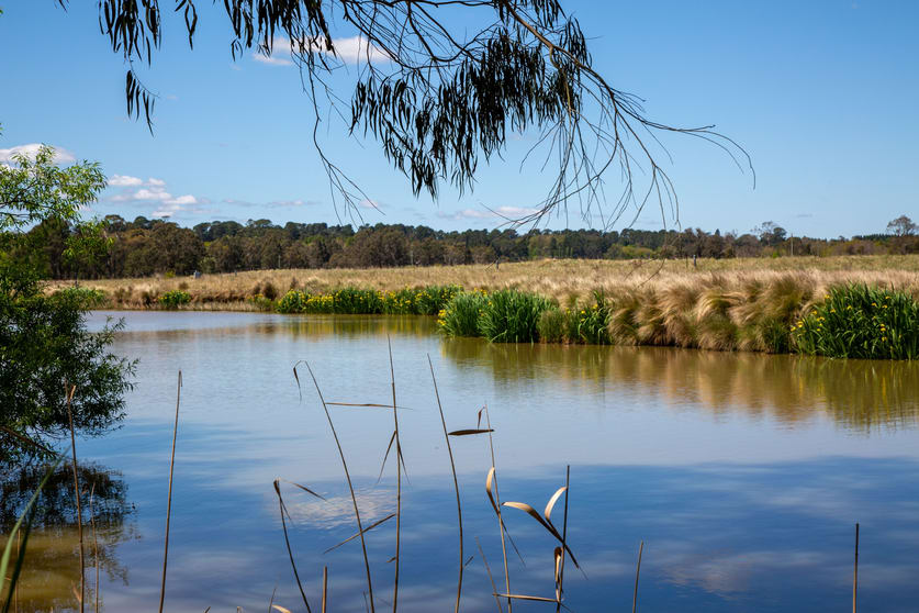 7 Minnows Drive Bowral NSW 2576 - Image 2