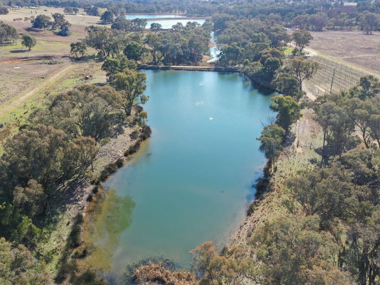 155 Tierneys Road Young NSW 2594 - Image 2