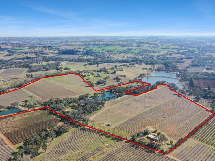 155 Tierneys Road Young NSW 2594 - Image 3