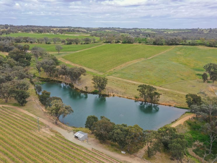 155 Tierneys Road Young NSW 2594 - Image 1