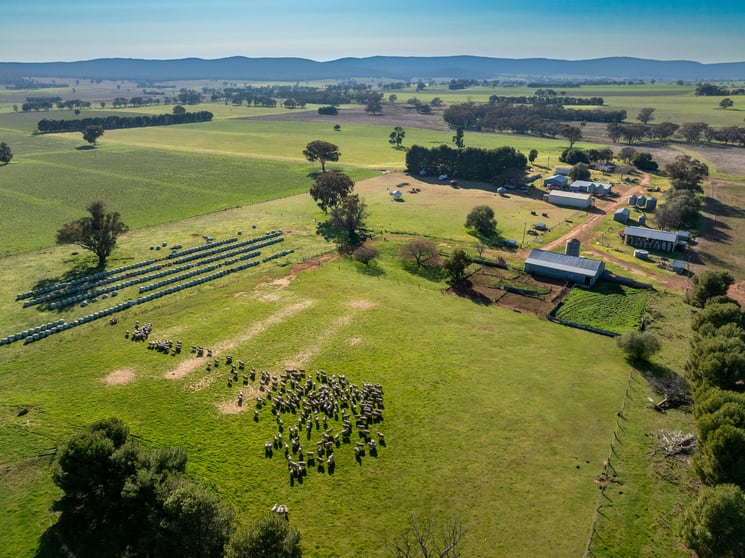 Click to view all images 501 Mandagery Road Mandagery NSW 2870 - Image 1