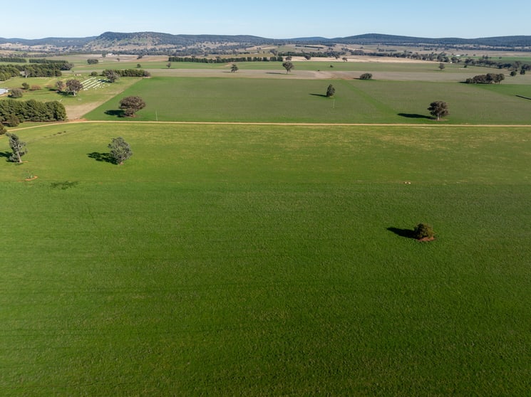 Click to view all images 501 Mandagery Road Mandagery NSW 2870 - Image 2