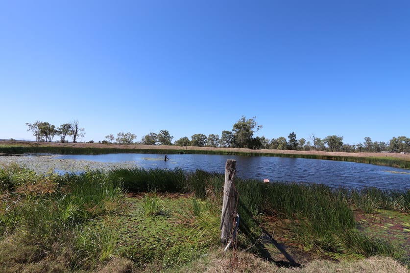 Click to view all images 0 WEALE CREEK ROAD Dalma QLD 4702 - Image 3