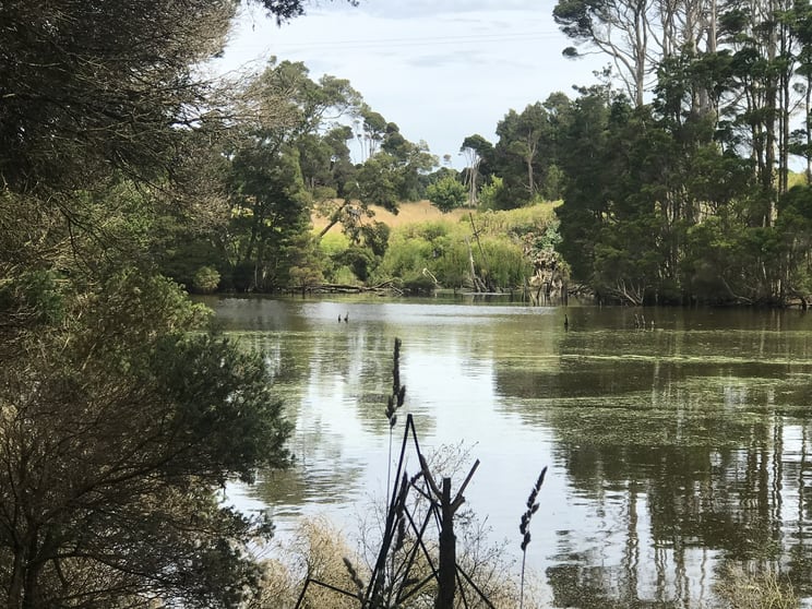 90 Bischoffs Road Pegarah TAS 7256 - Image 2