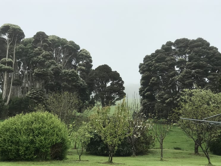 90 Bischoffs Road Pegarah TAS 7256 - Image 1