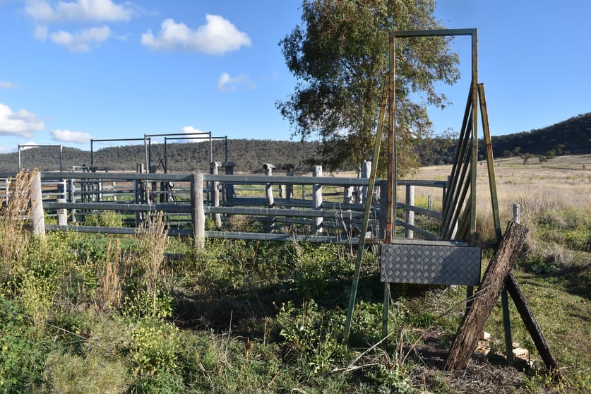 Click to view all images 144 Pilton Valley Road Pilton QLD 4361 - Image 3