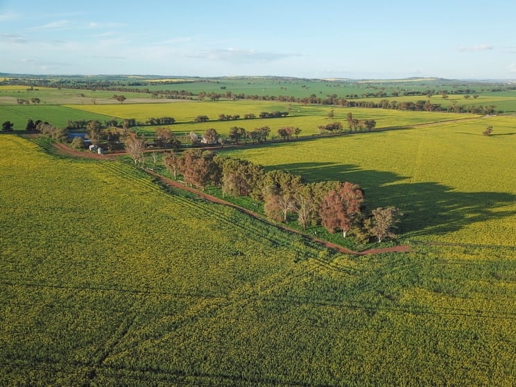 Click to view all images 185 Marrar South Road Downside NSW 2650 - Image 2