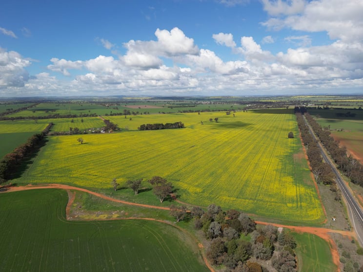 Click to view all images 185 Marrar South Road Downside NSW 2650 - Image 3