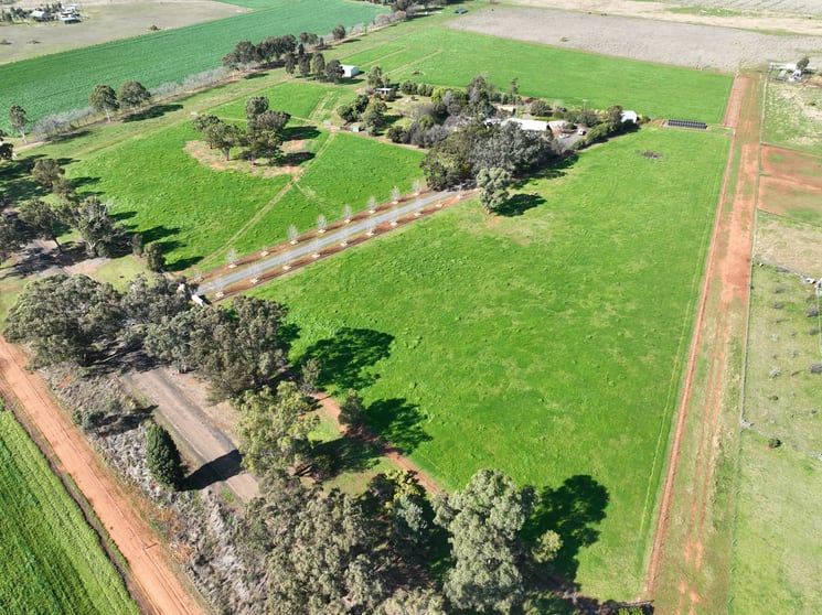 Click to view all images 'Willow Tree' 14L Dulcidene Road Terramungamine NSW 2830 - Image 1