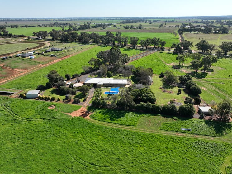 Click to view all images 'Willow Tree' 14L Dulcidene Road Terramungamine NSW 2830 - Image 2