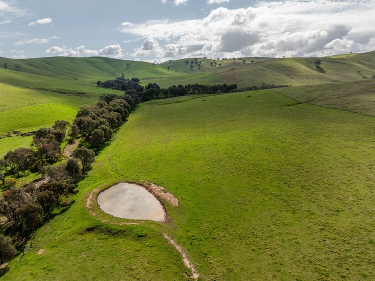 Click to view all images Spring Hill Nangus Road Gundagai NSW 2722 - Image 3